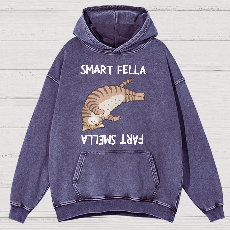 Smart Fella Fart Smella  Funny Cat Pun Vintage Distressed Hoodie