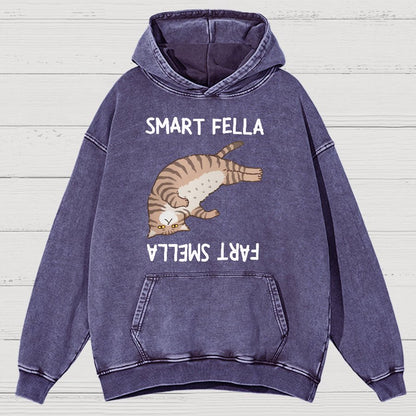 Smart Fella Fart Smella  Funny Cat Pun Vintage Distressed Hoodie