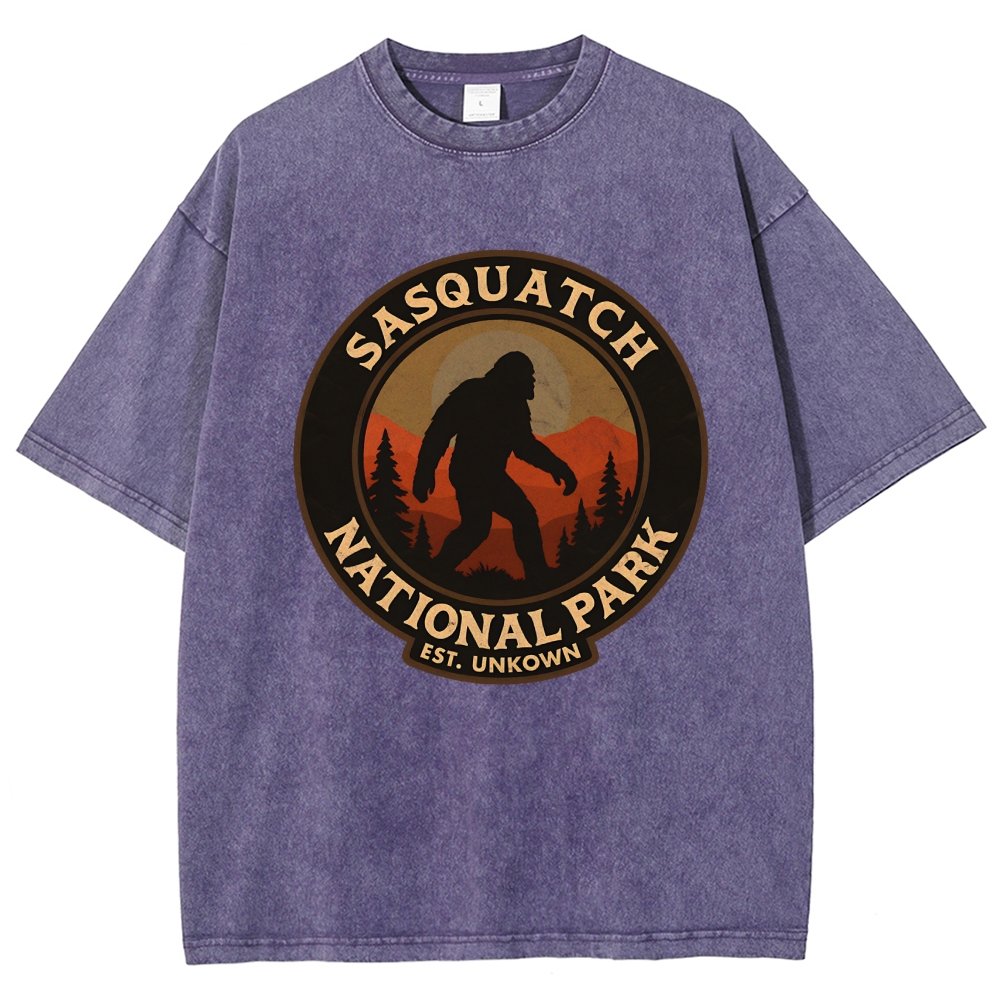 Sasquatch National Park Vintage Distressed T-shirt