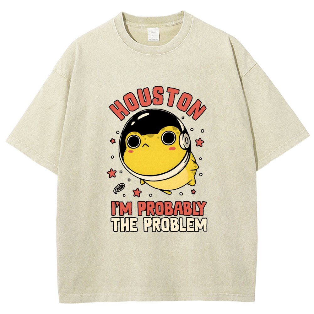 Houston Im Probably The Problem Vintage Distressed T-shirt