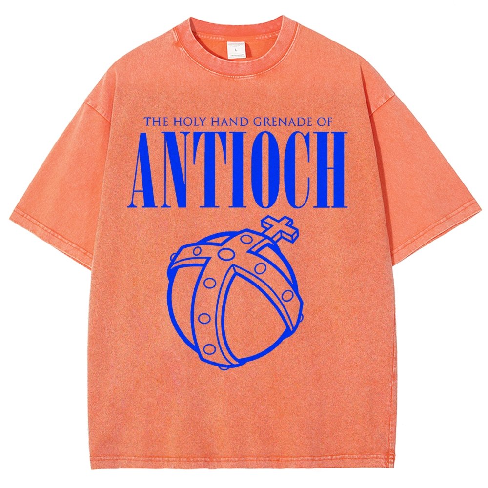 The Holy Hand Grenade of an Ancient Place Vintage Distressed T-shirt