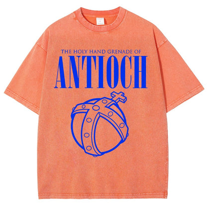 The Holy Hand Grenade of an Ancient Place Vintage Distressed T-shirt