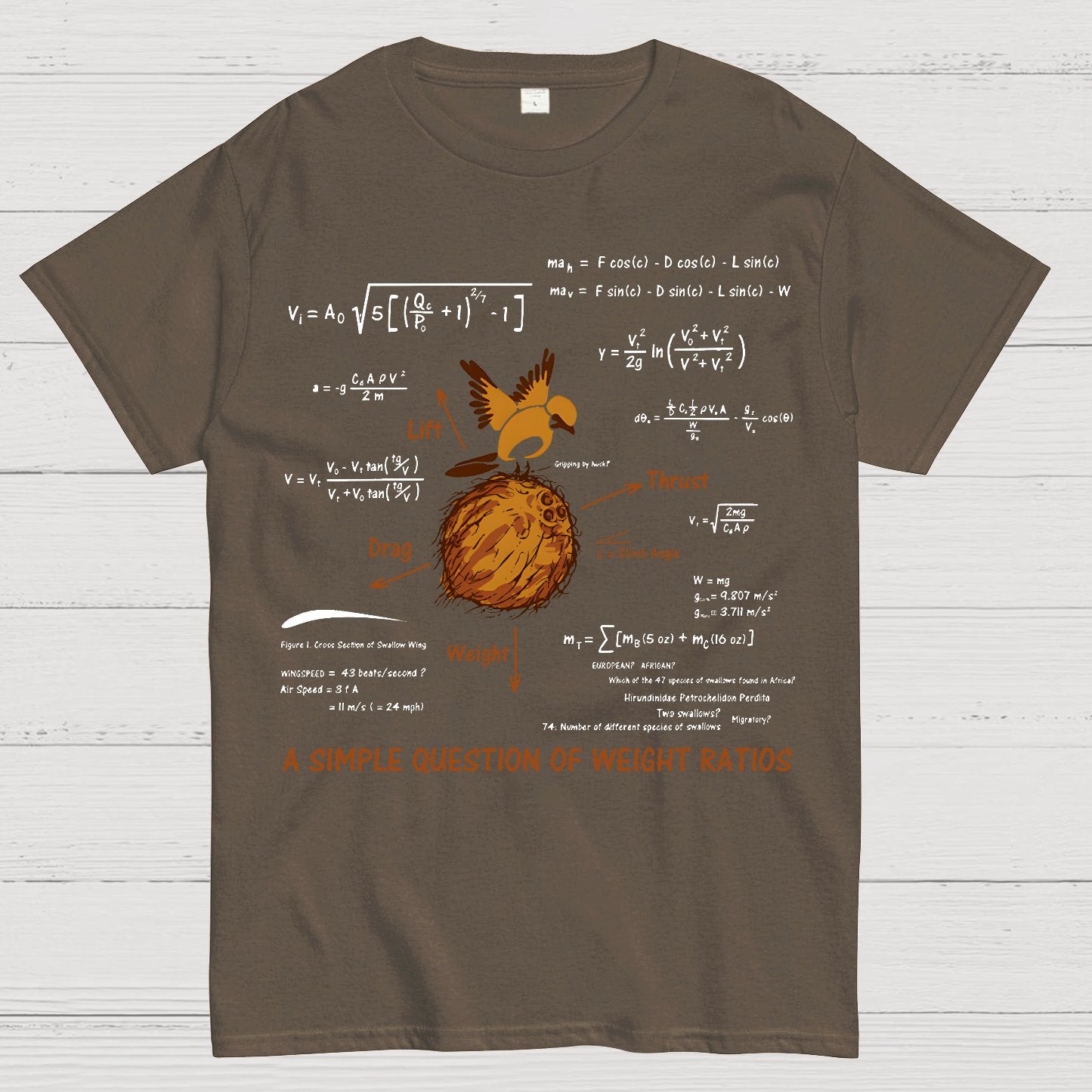 A Simple Question Geek T-Shirt