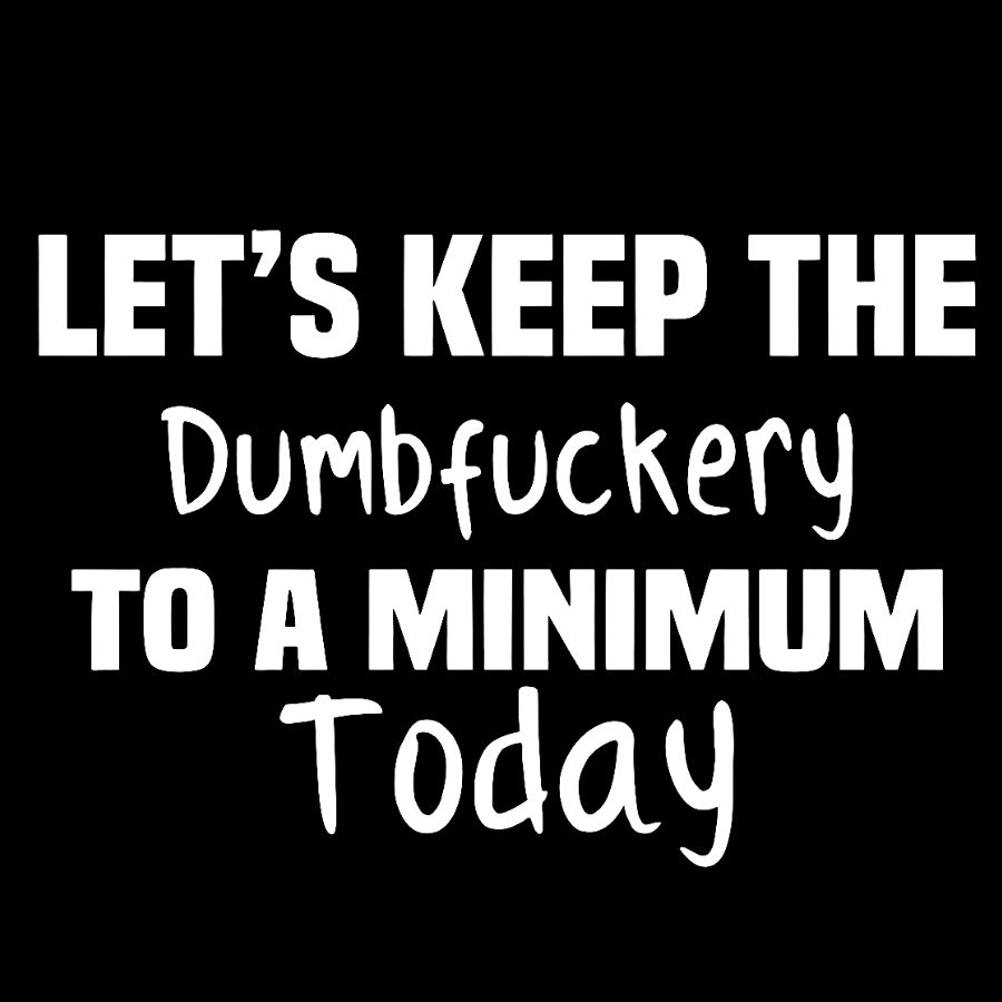 Let's Keep the Dumbfuckery to A Minimum Today Geeky T-Shirt