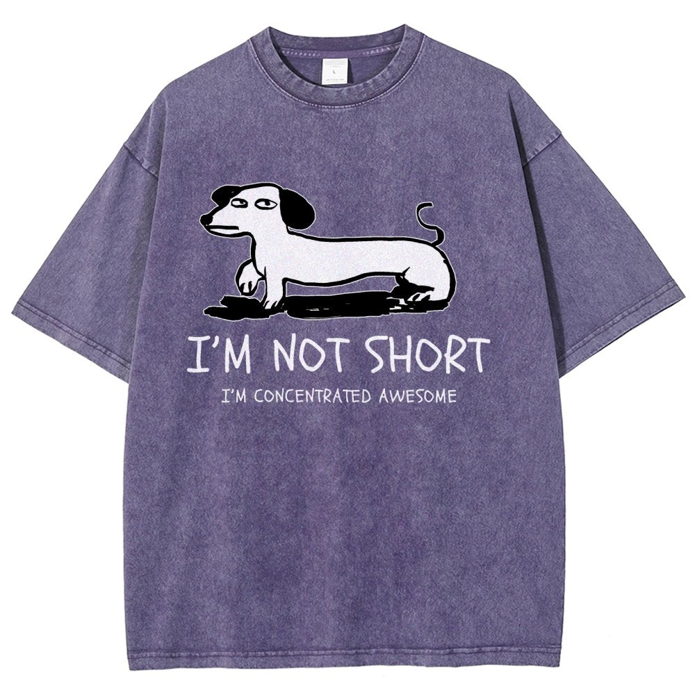 I'm Not Short Vintage Distressed T-shirt