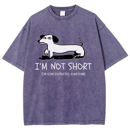 I'm Not Short Vintage Distressed T-shirt