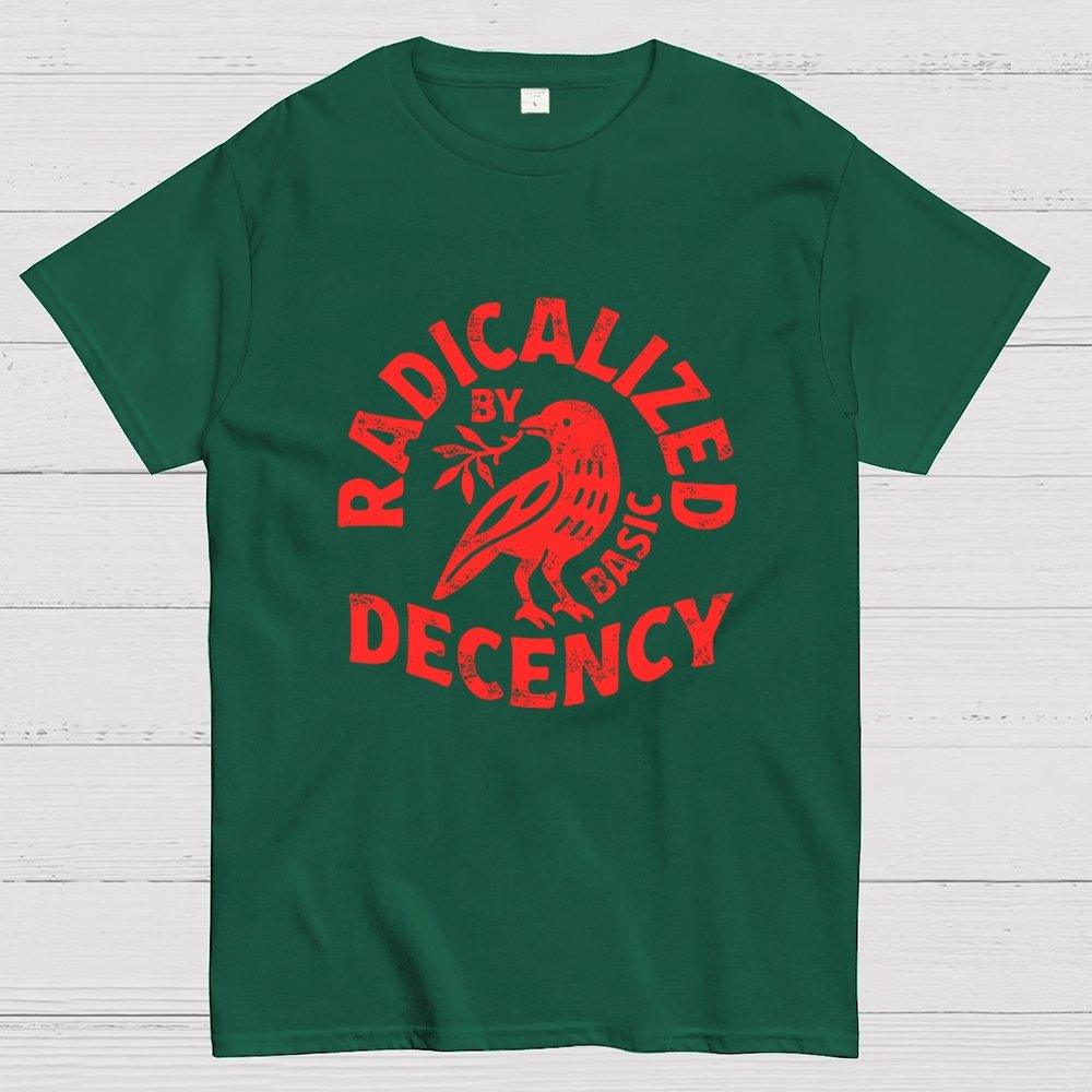 Radicalized By Basic Decency Geek T-Shirt