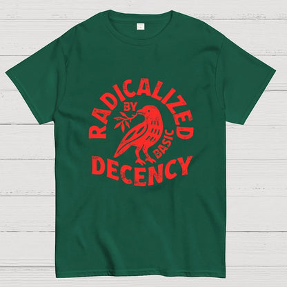 Radicalized By Basic Decency Geek T-Shirt