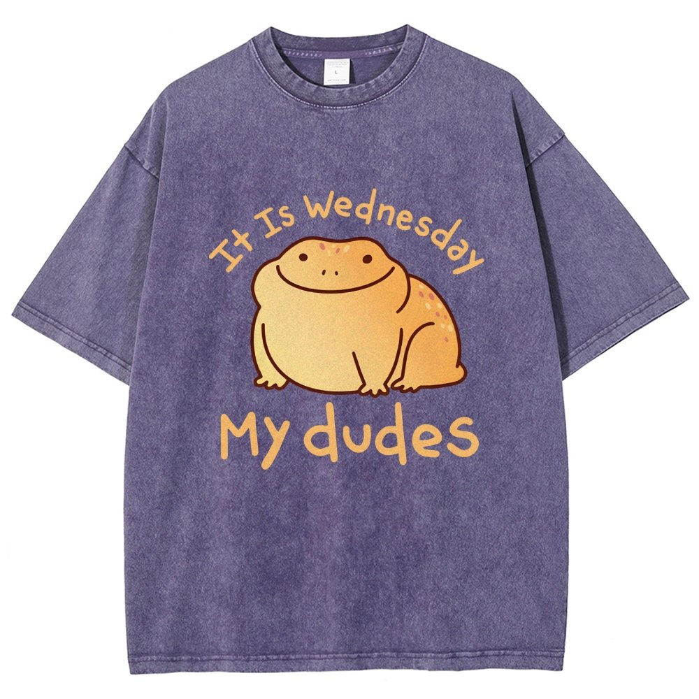 It's Wednesday My Dudes Vintage Distressed T-shirt