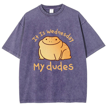 It's Wednesday My Dudes Vintage Distressed T-shirt