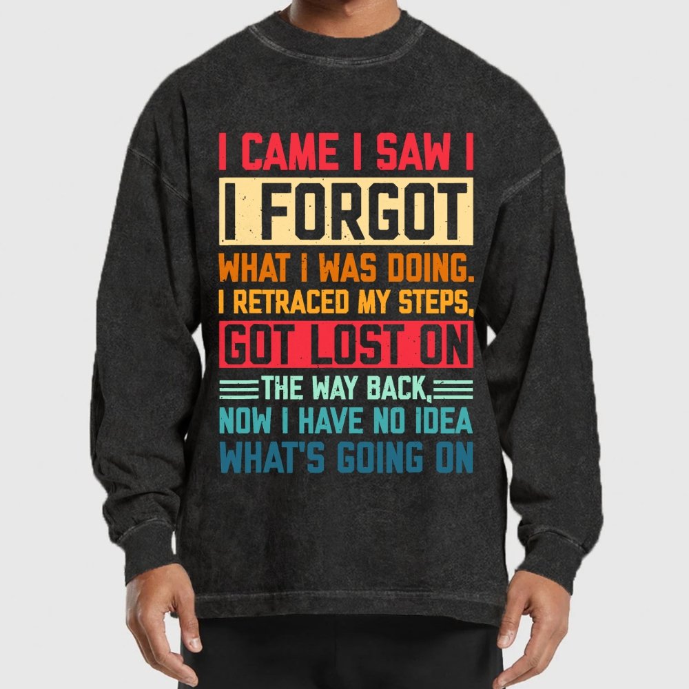 I Came I Saw I Forgot What I Was Doing Sarcastic Washed Long Sleeve Tee