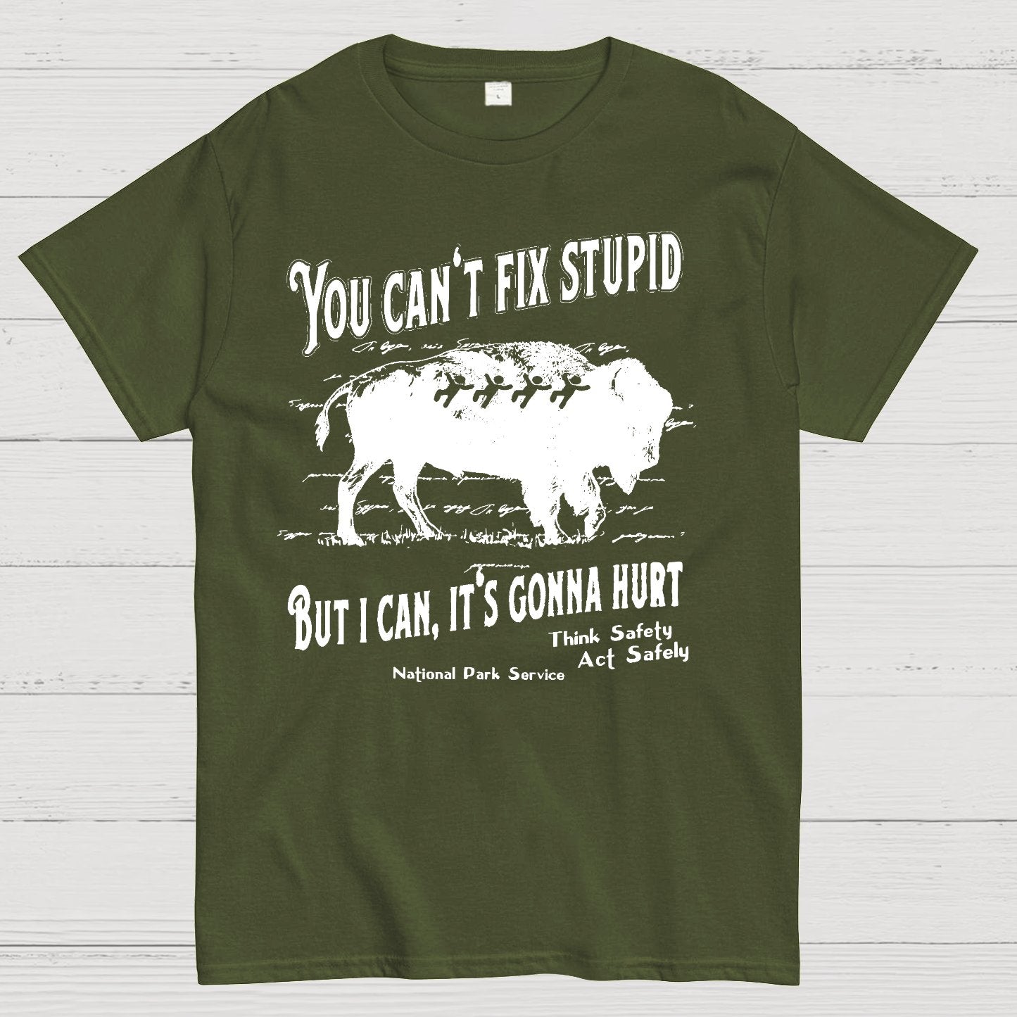 You Cant Fix Stupid Geek T-Shirt
