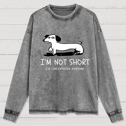 I'm Not Short Washed Long Sleeve Tee