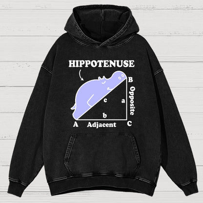 Hypotenuse Math Pun, Hippotenuse Essential Vintage Distressed Hoodie