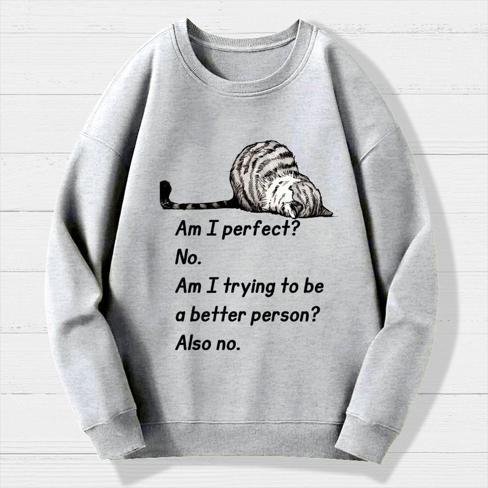 Am I Perfect No Geek Cotton Sweatshirt