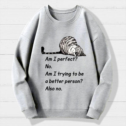 Am I Perfect No Geek Cotton Sweatshirt