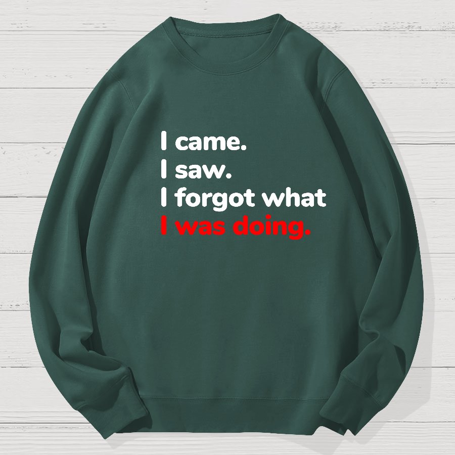 I Came. I Saw. I Forgot What I Was Doing Geek Cotton Sweatshirt