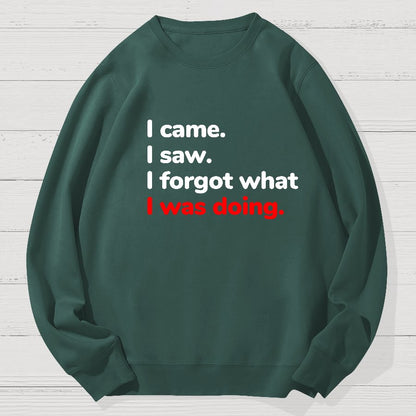 I Came. I Saw. I Forgot What I Was Doing Geek Cotton Sweatshirt