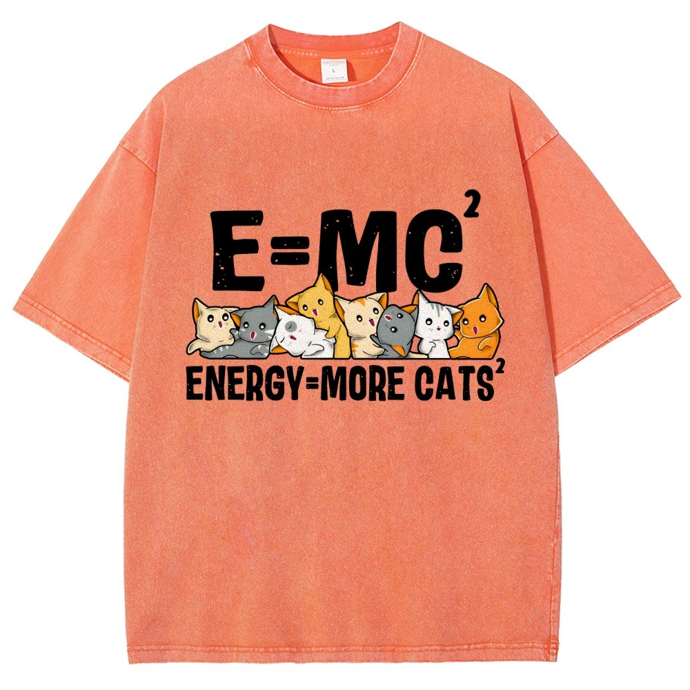 E=MC2 Vintage Distressed T-shirt