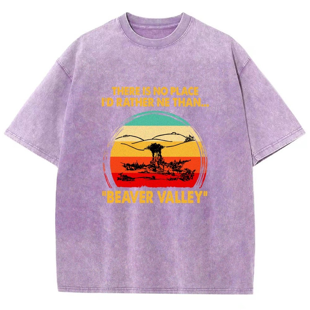 Beaver Valley Vintage Distressed T-shirt
