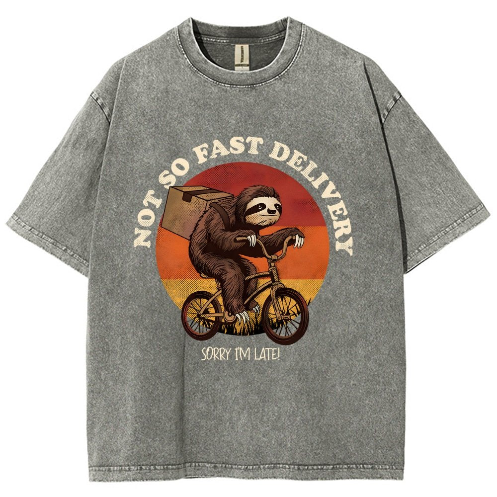 Not So Express Delivery Vintage Distressed T-shirt