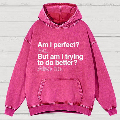 Am I Perfect No Vintage Distressed Hoodie