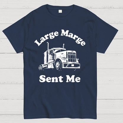 Mysterious Lady Sent Me Geek T-Shirt