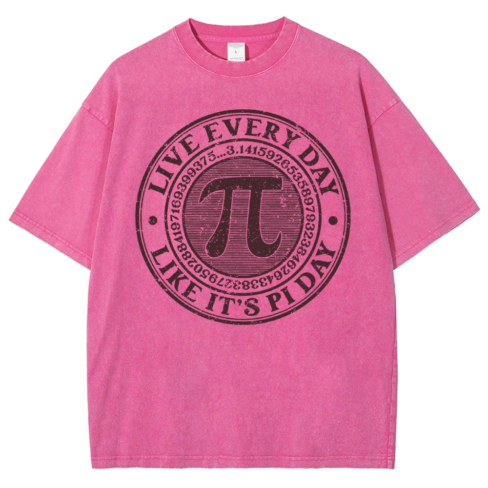 Vintage Pi Day Vintage Distressed T-shirt