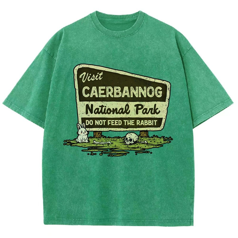 Mystic Valley National Park Vintage Distressed T-shirt
