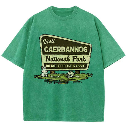 Mystic Valley National Park Vintage Distressed T-shirt
