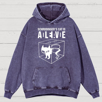Schrodinger's Cat Vintage Distressed Hoodie
