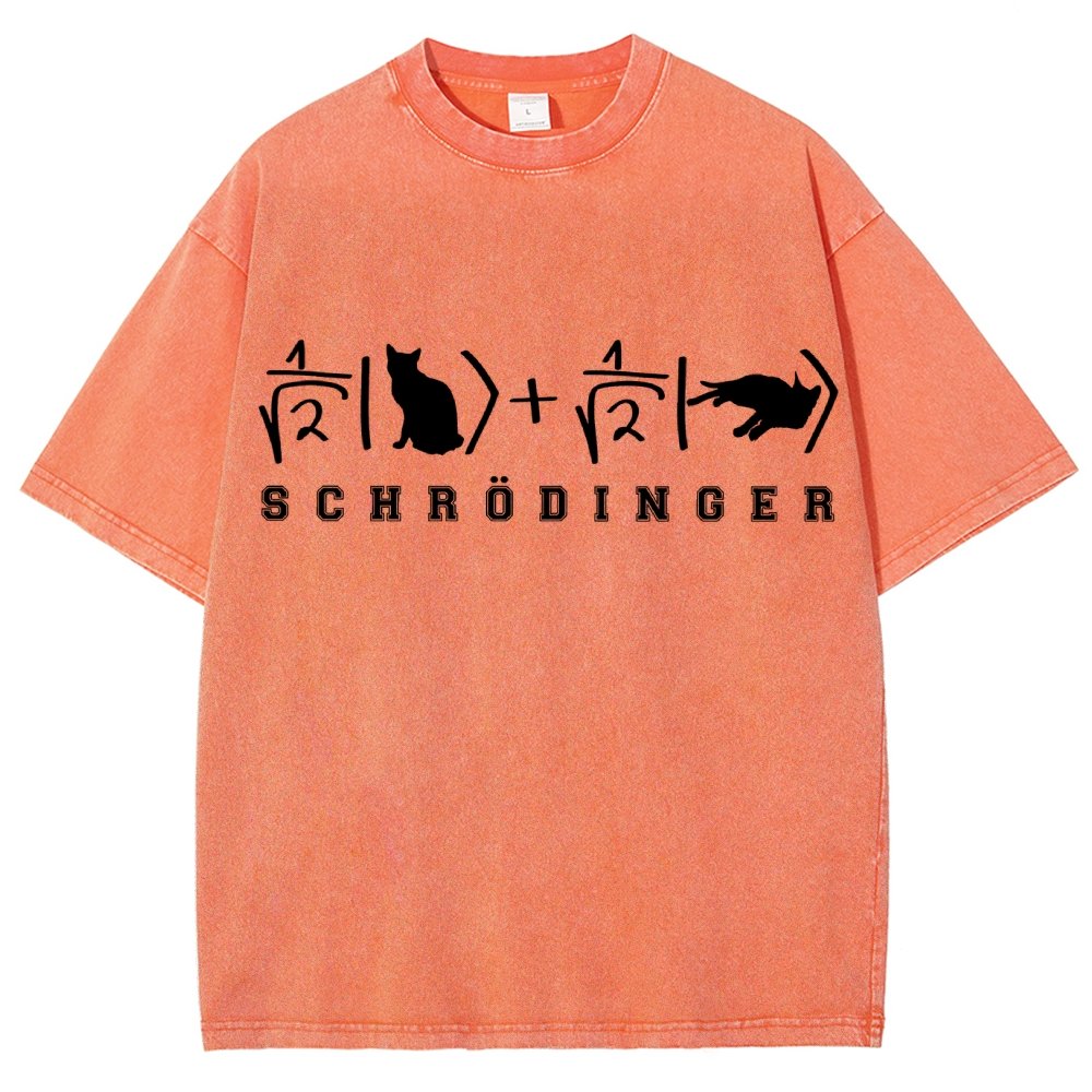 Schrödinger's Cat Vintage Distressed T-shirt