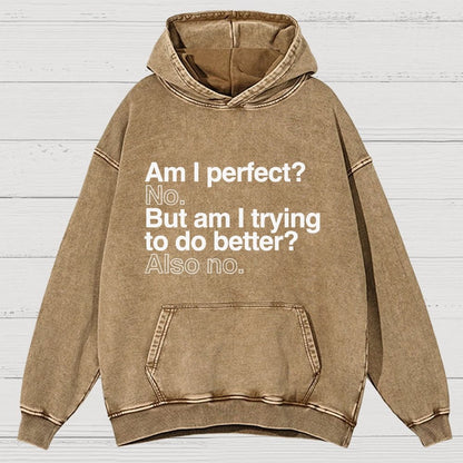 Am I Perfect No Vintage Distressed Hoodie