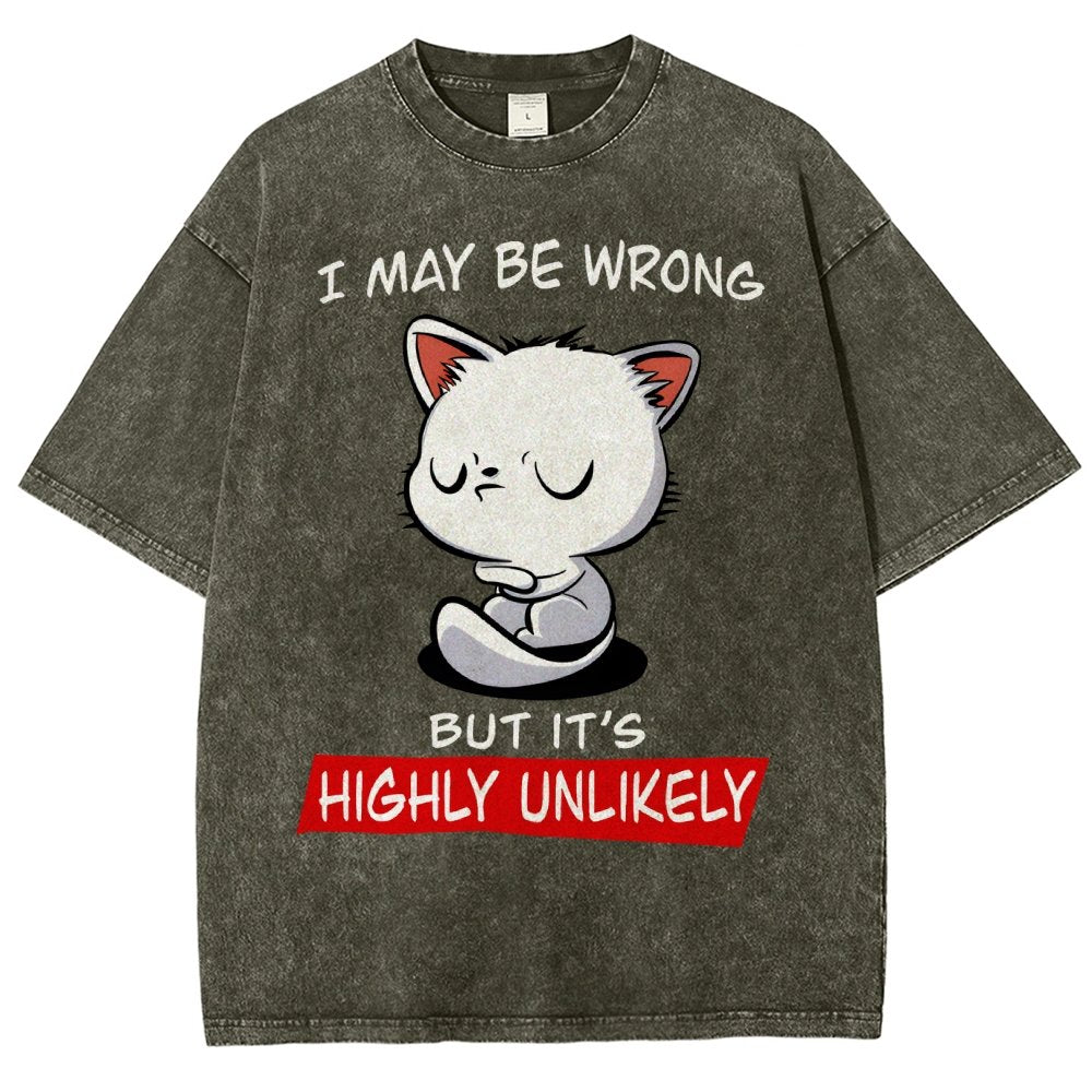 I May Be Wrong Vintage Distressed T-shirt