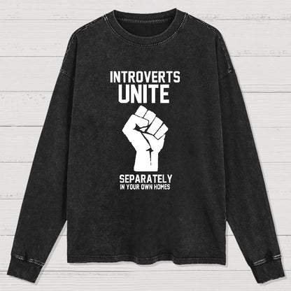 Introverts Unite Geek Washed Long Sleeve Tee