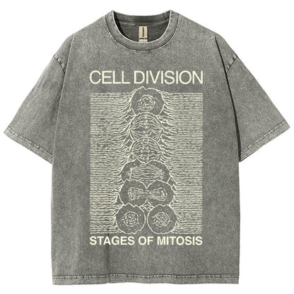 Cell Division- Stages of Mitosis Vintage Distressed T-shirt