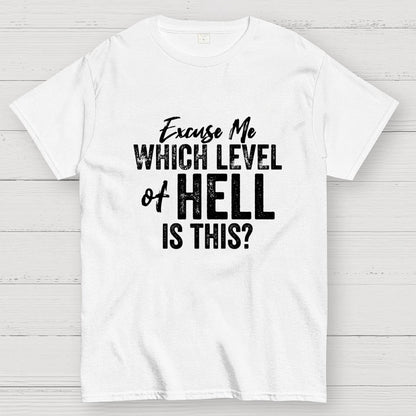 Excuse Me Which Level of Hell is This？Geek T-Shirt
