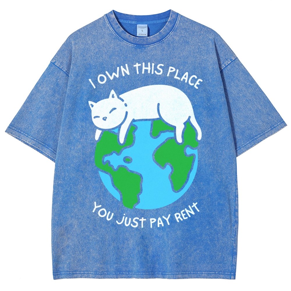 I Own This Place Vintage Distressed T-shirt