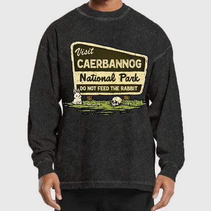 Mystic National Park Washed Long Sleeve Tee