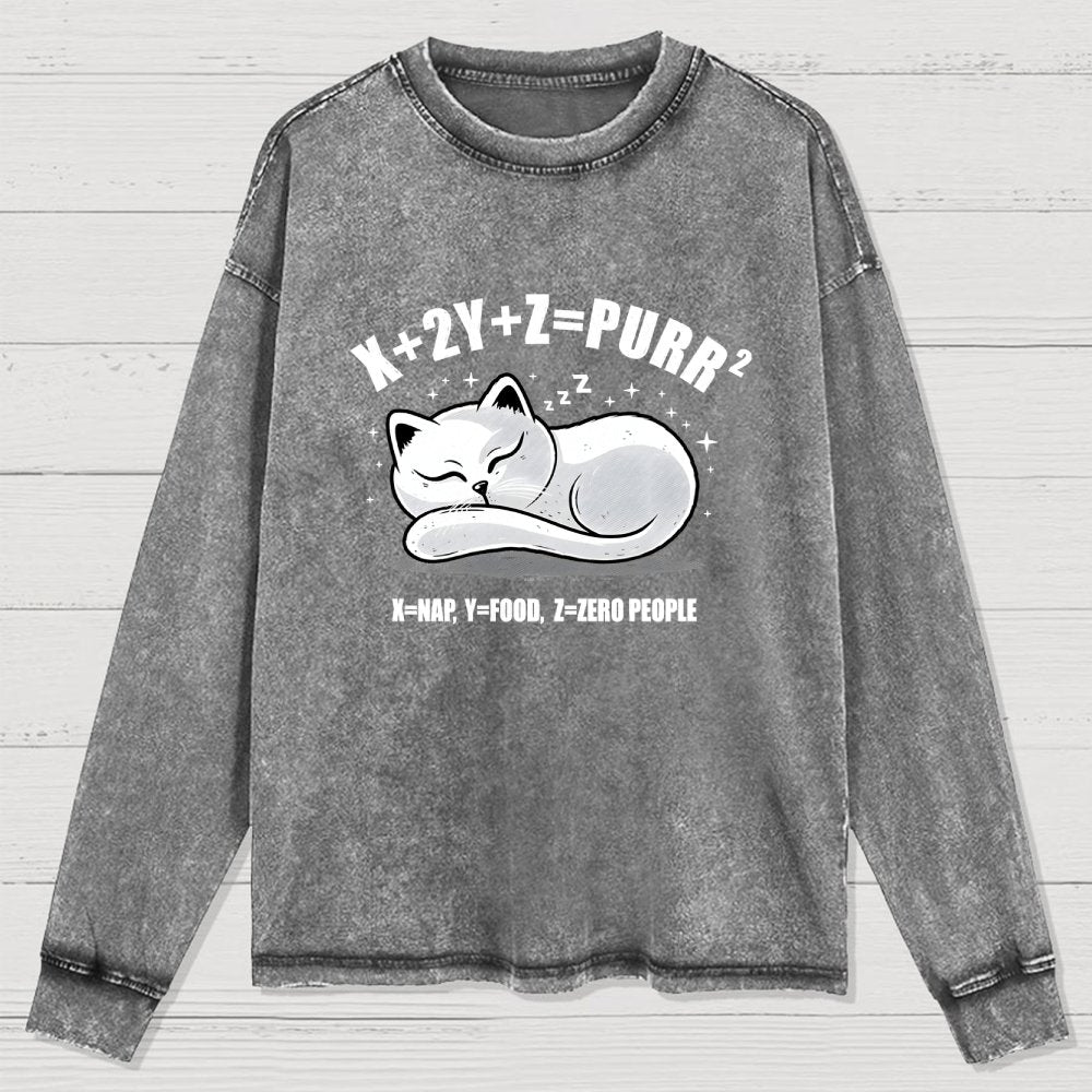 Purrfect Equation Washed Long Sleeve Tee