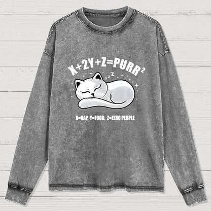 Purrfect Equation Washed Long Sleeve Tee