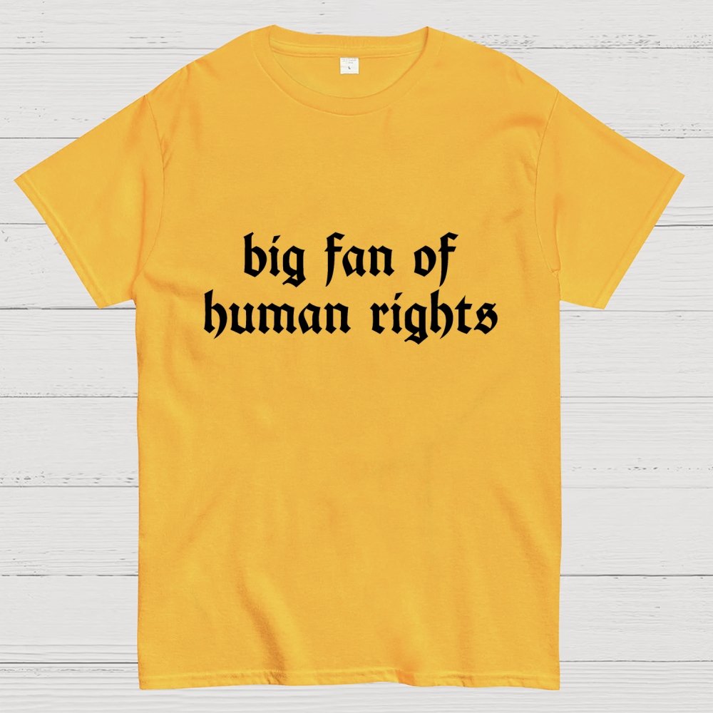 Big Fan of Human Rights Geek T-Shirt