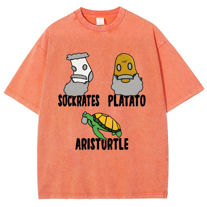 Sockrates Platato Aristurtle Vintage Distressed T-shirt