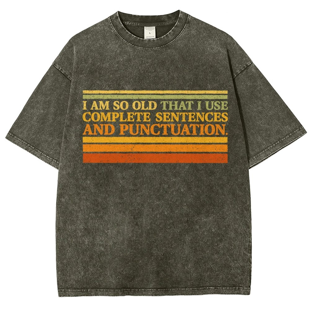Complete Sentences and Punctuation Vintage Distressed T-shirt