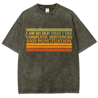 Complete Sentences and Punctuation Vintage Distressed T-shirt