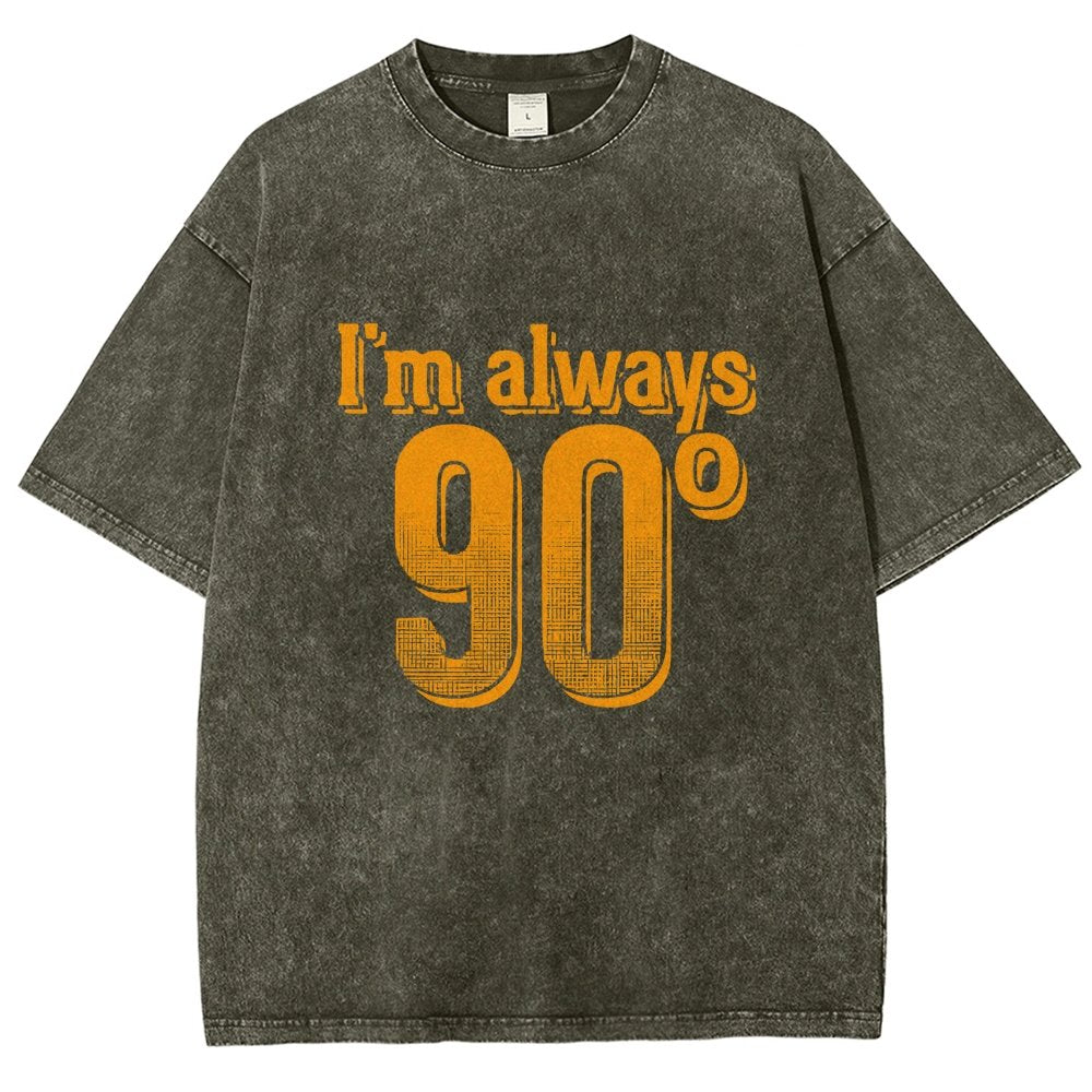I'm Always Right Math Vintage Distressed T-shirt