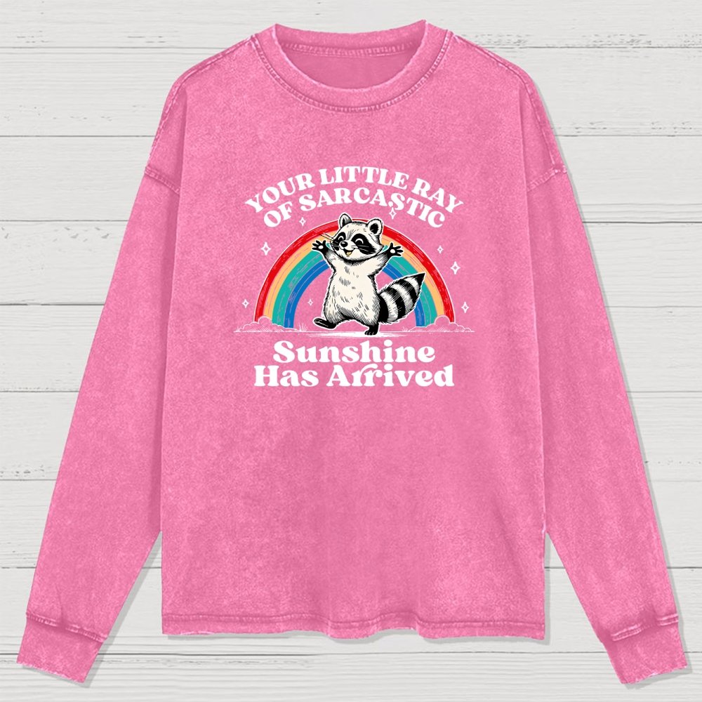 Your Little Ray of Sarcastic Sunshine Has Arrived Washed Long Sleeve Tee