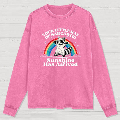 Your Little Ray of Sarcastic Sunshine Has Arrived Washed Long Sleeve Tee