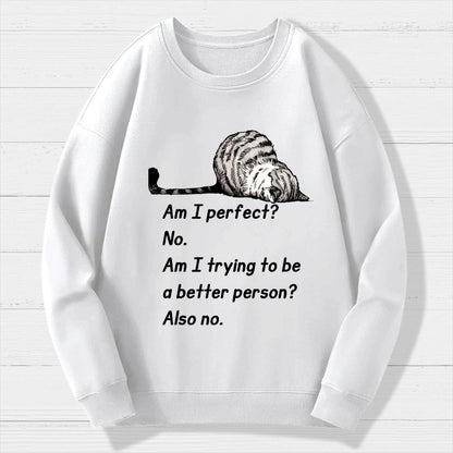 Am I Perfect No Geek Cotton Sweatshirt