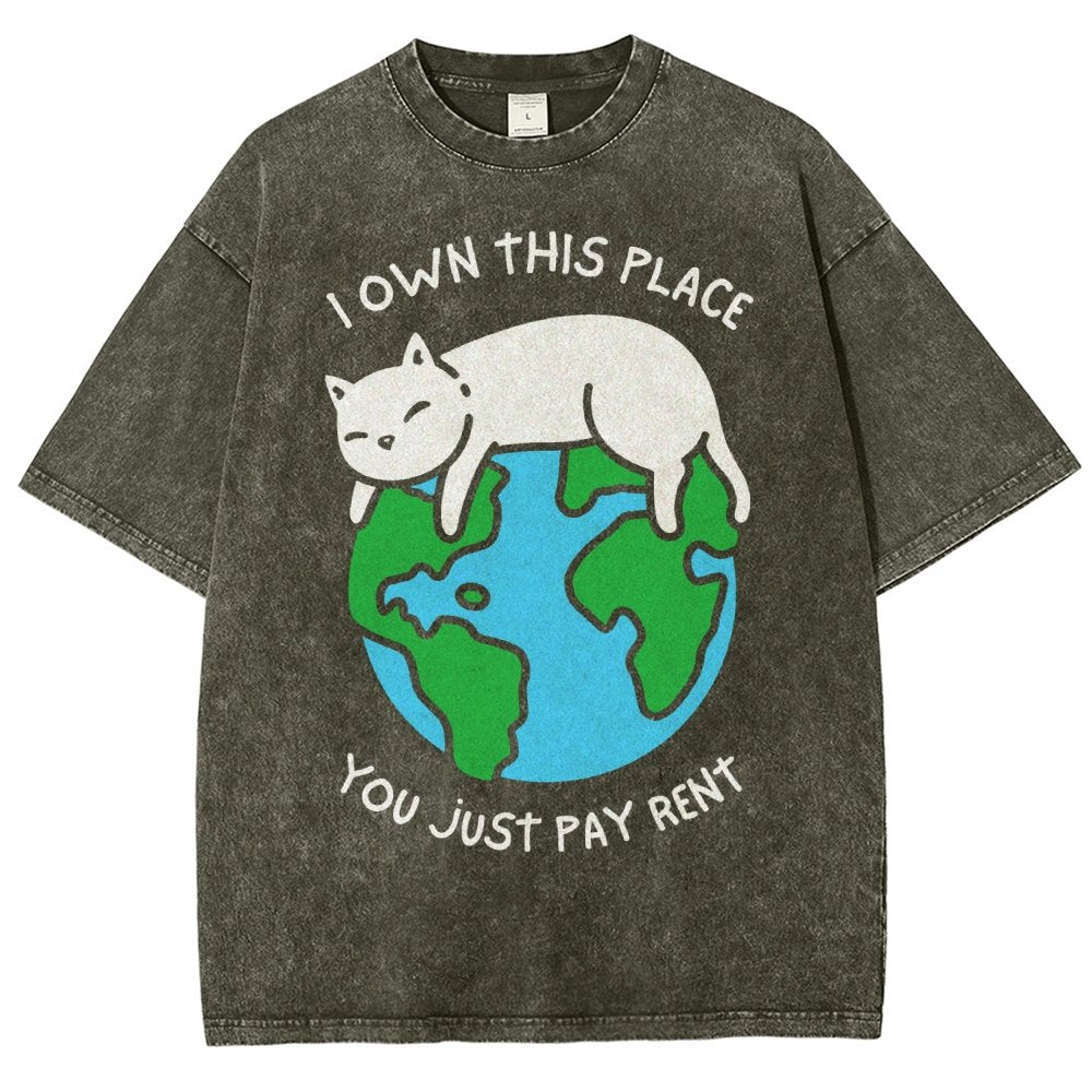 I Own This Place Vintage Distressed T-shirt